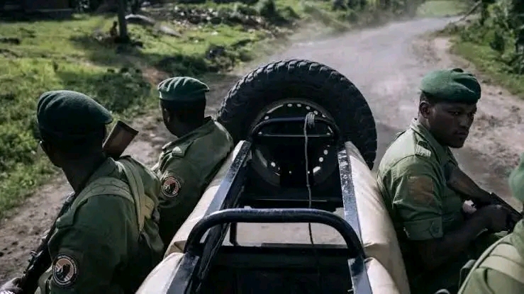 Nord-Kivu : deux écogardes de l’ICCN tués dans une attaque armée au Parc des Virunga