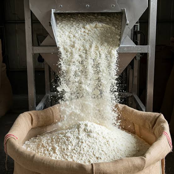 Sud Kivu: la baisse de la production du manioc inquiète la population