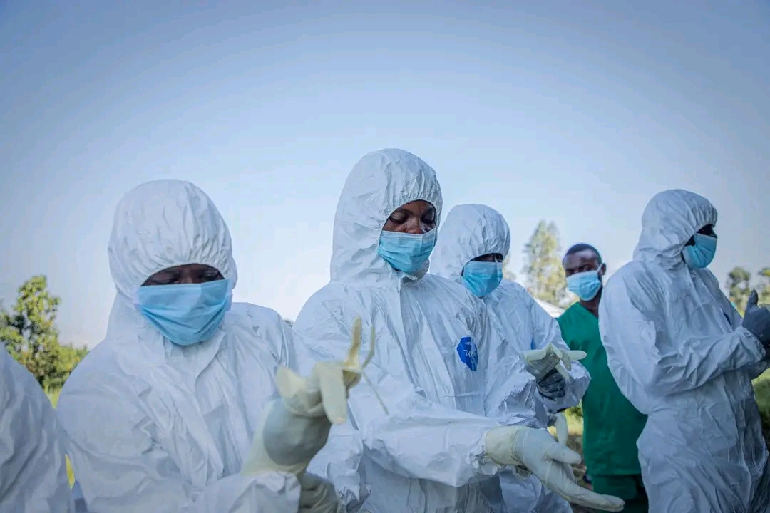 Butembo : deux enfants guéris d&rsquo;Ebola quittent le CTE de Katwa