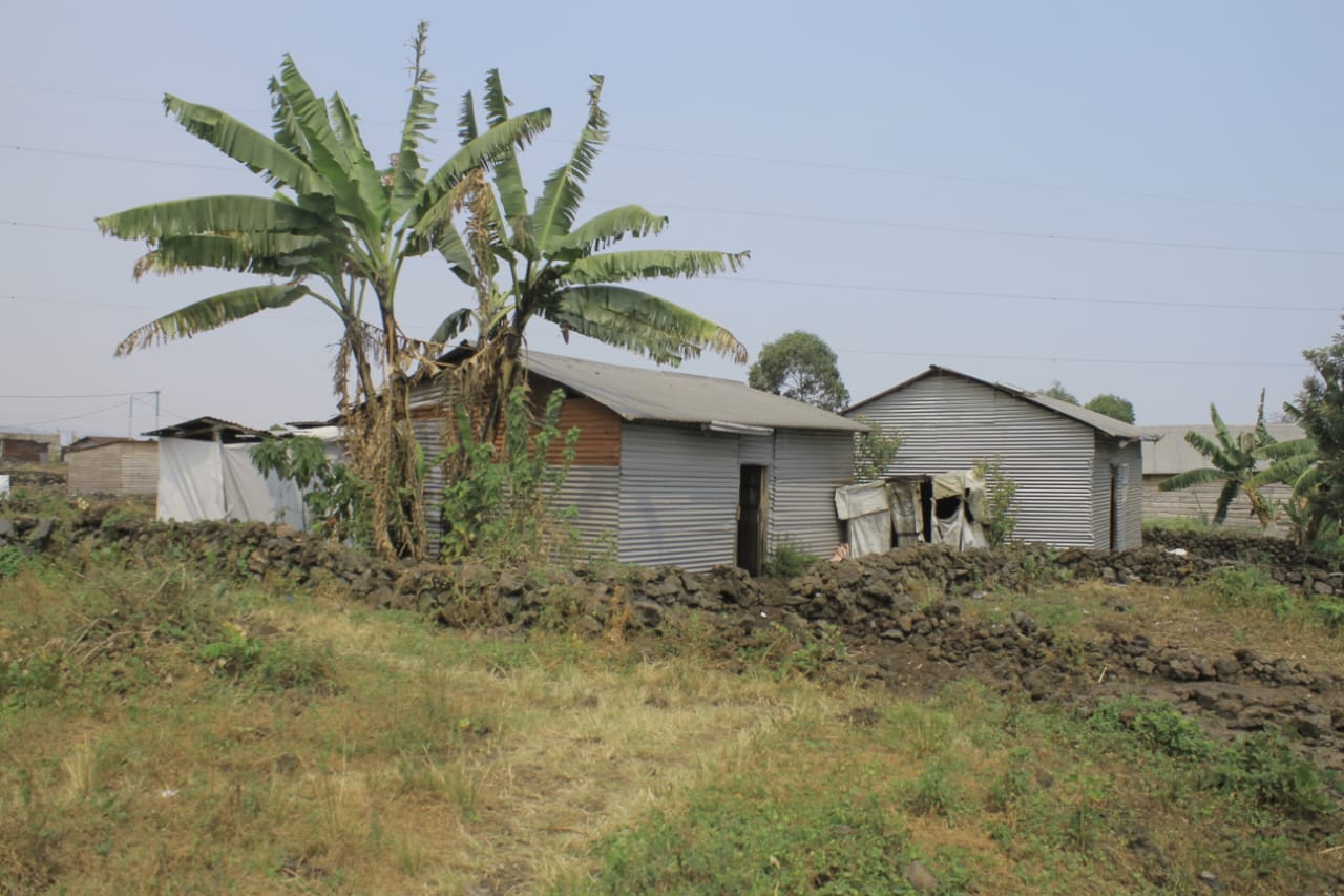 Nyiragongo : les familles déplacées lancent un appel pour un appui en intrants agricoles de base avant la prochaine saison culturale